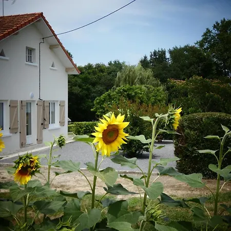 Chez Regine 別荘 Angoumé