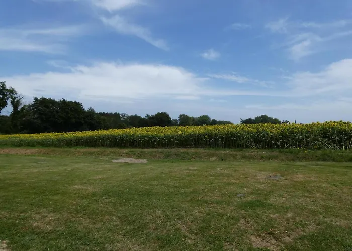 펜션 Chez Regine Angoumé