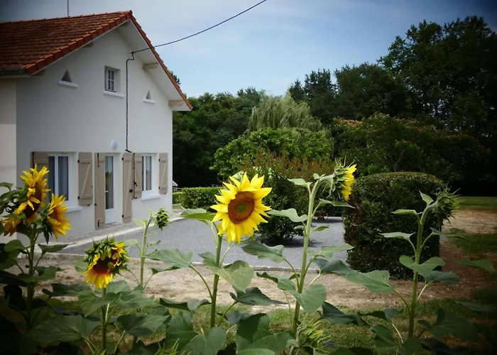 Chez Regine 펜션 Angoumé